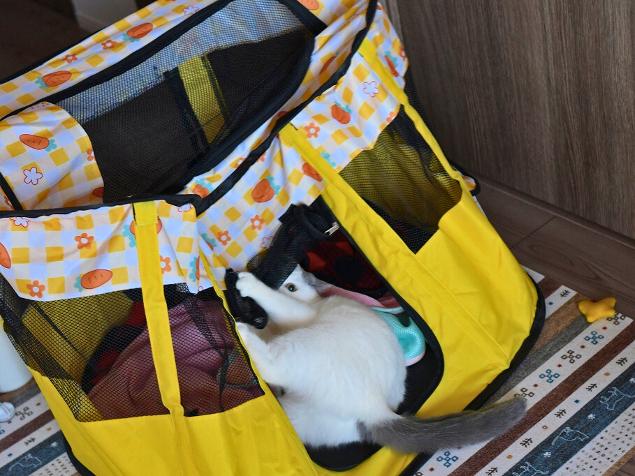 黄色いメッシュケージに全力で挑む白猫。中の物をつかみながら活発に動いている様子。
